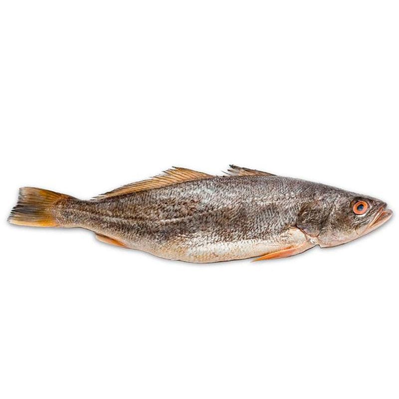 Pescado Entero Curvina